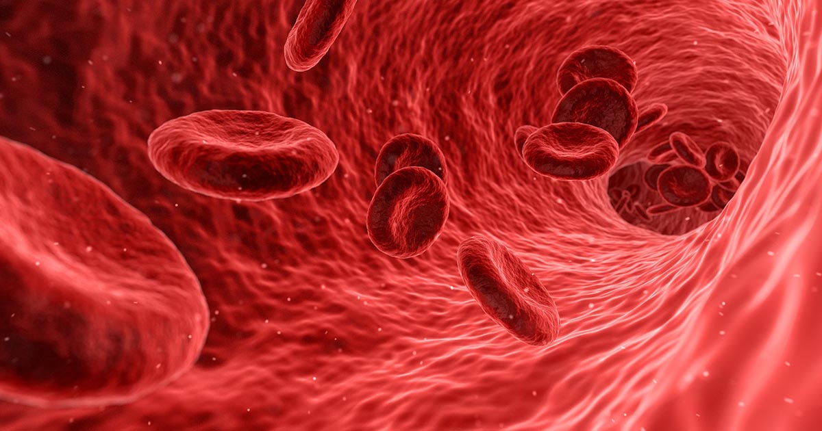 red blood cells